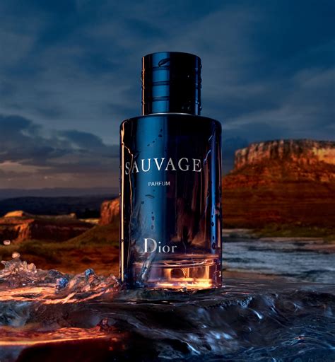 dior sauvage opinioni ciao|Dior Sauvage scent grail.